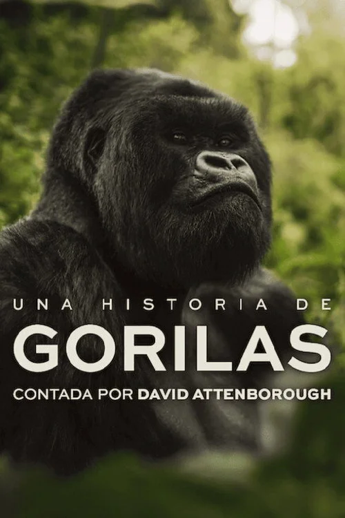 Póster de la película Una historia de gorilas contada por David Attenborough para ver online
